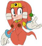 anthro areola big_breasts biped black_nose blue_eyes breasts brown_areola brown_nipples clothing colored digital_media_(artwork) echidna eulipotyphlan eyelashes female female_anthro fingers fur genitals gloves hair handwear hi_res jewelry looking_at_viewer mammal monotreme navel nipples nude nude_anthro nude_female orange_body orange_fur ravrous seductive sega simple_background smile solo sonic_adventure sonic_the_hedgehog_(series) standing tail tikal_the_echidna vulva wide_hips
