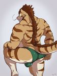  abstract_background balls feline hybrid looking_at_viewer male mane muscles presenting smile solo stripes taoren thong underwear whiskers 