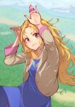  1girl blonde_hair blue_dress brown_eyes chienon closed_mouth dress final_fantasy final_fantasy_v grass highres krile_mayer_baldesion_(ff5) long_hair looking_at_viewer mountain smile solo 