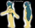2015 5:4 absurd_res anthro biped black_background blue_hair breasts character_name chest_tuft cindy_(swack16) colored featureless_breasts featureless_crotch female fur generation_2_pokemon glistening glistening_body goo_creature hair hi_res mammal markings multiple_angles nintendo nude open_mouth pokemon pokemon_(species) pokemorph quilava red_markings simple_background smile snout solo standing text tuft wolferion yellow_body