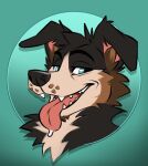 anthro black_body black_fur blue_eyes brown_body brown_fur canid canine canis cheek_tuft domestic_dog facial_tuft floppy_ears fur looking_at_viewer male mammal narrowed_eyes neck_tuft open_mouth red_tongue simple_background solo tan_body tan_fur tongue tongue_out tuft yookie
