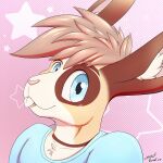 anthro brown_body brown_fur buckteeth clothing fur hi_res icon lagomorph leporid looking_at_viewer male mammal open_mouth rabbit shirt smile smiling_at_viewer solo steelshark t-shirt tan_body tan_fur teeth topwear