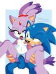 3:4 anthro blaze_the_cat blush bodily_fluids breasts domestic_cat duo eulipotyphlan eye_contact felid feline felis female from_behind_position genital_fluids genitals green_eyes hedgehog hero hi_res humanoid looking_at_another male male/female mammal penetration penis princess royalty seated_sex sega sex small_breasts smile sonic_the_hedgehog sonic_the_hedgehog_(series) spindasher98 spread_legs spreading vaginal vaginal_fluids vaginal_penetration vulva yellow_eyes
