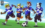  canine dog female fox hahul male mustelid otter soccer wolf 