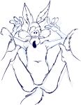 2012 4_fingers anthro arm_tuft athletic belly biped black_eyes black_finger_claws black_nose butt calf_tuft canid canine canis casual_nudity chest_tuft coyote detailed digital_drawing_(artwork) digital_media_(artwork) duo faceless_character faceless_human fingers forearm_tuft forearms guide_lines high-angle_view human humanoid_hands knee_tuft leg_tuft looney_tunes lying male mammal navel nervous nude on_back pecs pinup pose shoulder_tuft sketch sketchy skinny solo_focus stevethedragon tuft warner_brothers wide_eyed wile_e._coyote