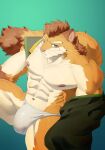  1boy abs animal_ears bara bulge choi_yuhyun_(xxl) closed_mouth commentary_request from_above fundoshi furry furry_male highres japanese_clothes kelium_art korean_commentary looking_at_viewer male_focus muscular muscular_male navel nipples pectorals sweatdrop tail weasel_boy weasel_ears weasel_tail whiskers xxl_woofia 
