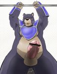  anal_penetration armor balls bear censored chubby fingering gladiator_beast_andal looking_at_viewer male mammal overweight penetration penis precum solo unknown_artist yu-gi-oh yu-gi-oh! 
