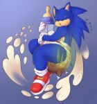 abdl anthro diaper diaper_fetish dirty eulipotyphlan fan_character feces hedgehog hi_res male male/male mammal pooping sega solo sonic_the_hedgehog_(series) sweety_(artist)