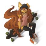 1:1 2025 anthro apogee_(tinygaypirate) biped brown_eyes brown_hair brown_tail canid canine canis choker clothed clothed_anthro clothed_female clothing countershade_torso countershading digital_media_(artwork) domestic_dog ear_piercing female fingerless_gloves fingerless_handwear footwear front_view fully_clothed fully_clothed_anthro fully_clothed_female fur gauged_ear gloves hair handwear hat headgear headwear hi_res high-angle_view inner_ear_fluff jewelry legwear long_hair long_tail longboard looking_at_viewer looking_up looking_up_at_viewer mammal necklace piercing shoes simple_background sitting smile solo tail tan_body tan_fur thigh_highs tinygaypirate topwear tuft white_background