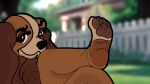 16:9 anthro anthrofied bird_dog black_nose blurred_background brown_body brown_eyes brown_fur brown_pawpads canid canine canis closed_smile cocker_spaniel disney domestic_dog eyebrows eyelashes feet feetandpaws2017 female floppy_ears foot_fetish foot_focus fur hi_res hunting_dog lady_(lady_and_the_tramp) lady_and_the_tramp looking_at_viewer mammal mouth_closed pawpads plantigrade smile solo spaniel widescreen