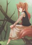  alternate_hairstyle animal_ears ayakura_juu barefoot brown_hair holo long_hair ponytail sitting soaking_feet solo spice_and_wolf tail wolf_ears 