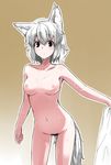  animal_ears ariyoshi_gen bad_id bad_pixiv_id black_eyes breasts highres inubashiri_momiji leaning_forward looking_at_viewer medium_breasts mismatched_pubic_hair navel nipples no_hat no_headwear nude pubic_hair silver_hair simple_background solo tail touhou towel wet wolf_ears wolf_tail 