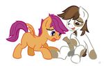  balls cub cutie_mark_crusaders_(mlp) equine female feral friendship_is_magic horse horsecock male mammal my_little_pony pegasus penis pipsqueak_(mlp) pony scootaloo_(mlp) wings young 