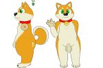  absurd_res anthro canid canine canis collar domestic_dog hi_res humanoid_penis male mammal model_sheet penis pubes shiba_inu simple_background sketchyyvun solo standing uncut white_background 