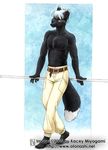  2005 anthro ayn black_fox canine fox kacey make male mammal plain_background topless 