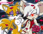  (series) balls bat big_breasts breasts canine crossgender demon female fox fox_tail hedgehog incubus male mammal miles_prower multiple_tails nipples nopennamegirl nude penis project_x sega sonic_(series) sonic_the_hedgehog straight tails 