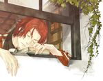  book closed_eyes from_outside gensou_suikoden gensou_suikoden_ii kaburaya male_focus plant red_hair seed_(suikoden) sleeping solo window 