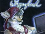  anthro badge brown_eyes canine clothing computer female fox gypsy kacey laptop mammal solo 