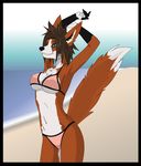  bikini brown_hair canine clothed clothing crossgender darkghost dog female fennec fox furrification gender_swap green_eyes grin hair looking_at_viewer mammal raised_arm seaside skimpy smile smirk solo species_swap swimsuit tight_clothing 