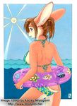  2005 female kacey lagomorph rabbit rubber_ring sea solo water 