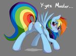  buttplug collar equine friendship_is_magic my_little_pony pegasus pussy rainbow_dash_(mlp) sex_toy smitty_g wings 
