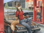  anthro canine car clothing female fox hair headlights kacey long_hair male mammal solo 