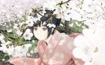  black_eyes black_hair blurry cherry_blossoms depth_of_field eyebrows_visible_through_hair flower grass japanese_clothes kimono light_smile looking_at_viewer matsunaga_kouyou original petals short_hair solo spring_(season) tree upper_body wide_sleeves 