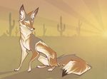  cactus canine coyote desert feral mammal orange04 outside solo 