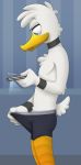  avian beak bird camera clothing duck feathers grey_underwear male phone solo teenager underwear yellow_beak young zawmg 