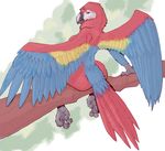  avian beak bird branch breasts female leucrotta macaw nude parrot scarlet scarlet_macaw side_boob sitting solo wings 