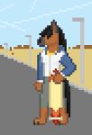  canine clothed clothing digital_media_(artwork) dog equine handlebarsprites horse hybrid male mammal outside pixel_(artwork) pixelated skateboard sky standing 