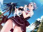  absurdres blue_eyes blue_hair blue_sky cat cloud day from_below hair_ornament hair_ribbon hairclip happoubi_jin highres koromogae_maya maid_headdress one_eye_closed palm_tree panties resort_boin ribbon scan short_hair sky solo tree underwear upskirt waitress white_panties wrist_cuffs 