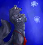  anthro biceps big_muscles bodypaint bracelet bulge canine captainjohkid chest_tuft clothed clothing crossed_arms fur half-dressed jellyfish jewelry loincloth male mammal marine muscles pecs pose red_eyes solo topless tribal tuft underwear wolf 