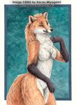  anthro canine female fox kacey mammal plain_background realistic smile solo 