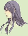  bad_id bad_pixiv_id face green_background long_hair male_focus shiro_(reptil) simple_background solo tales_of_(series) tales_of_vesperia upper_body yuri_lowell 