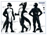  anthro bale black black_body cetacean color_swatch fin kacey mammal marine model_sheet neouka_land_orca orca plain_background solo whale 