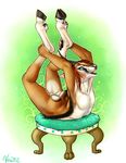  antelope contortion dynameaux flexible gazelle hooves horn legs_up lying male nude on_front presenting show_off solo stretching thomson_gazelle vera yoga 