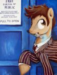  brown_eyes brown_hair doctor_who doctor_whoof_(mlp) doctor_whooves_(mlp) english_text equine feral friendship_is_magic hair horse male mammal my_little_pony pony solo sonic_screwdriver tardis text 