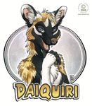  african_wild_dog anthro badge canine daiquiri female kacey mammal pose smile solo thumb_up thumbs_up 