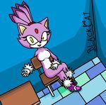  blackcat blaze_the_cat breasts cat feline female sega sonic_(series) 