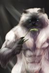  amazing cat feline gweek gweek_(artist) mammal muscles nude what 