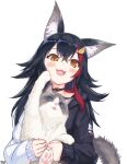  1girl absurdres animal animal_ear_fluff animal_ears animal_hug black_choker black_hair black_hoodie blush cat choker commentary_request double-parted_bangs fang flipped_hair hair_ornament hairclip highres holding holding_animal hololive hood hoodie long_hair long_sleeves looking_at_viewer official_alternate_costume ookami_mio ookami_mio_(hoodie) playing_with_animal red_streaks sidelocks simple_background single_hair_streak skin_fang solo spiked_hair taiga_(ookami_mio) transparent_background traveler_(artbbt) two-tone_hoodie upper_body virtual_youtuber white_hoodie wolf_ears yellow_eyes 