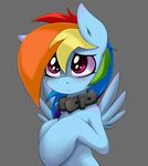  blush collar cute equine female friendship_is_magic my_little_pony pegasus rainbow_dash_(mlp) smile smitty_g solo wings 