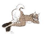 animal_genitalia anthro balls bobcat butt claws domestic_cat ear_tuft eyewear feet felid feline felis genitals glasses grin grinning_at_viewer jasper_kinney lynx male mammal moodyferret pawpads paws presenting presenting_balls presenting_hindquarters raised_tail sheath smile smiling_at_viewer solo spots tail tuft wildcat