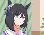  1girl anikinoihai893 animal_ears black_hair blue_eyes closed_mouth commentary_request ear_ribbon eishin_flash_(umamusume) frown horse_ears horse_girl indoors manatsu_no_yo_no_inmu medium_hair meme purple_shirt ribbon sailor_collar school_uniform shirt solo tracen_school_uniform umamusume white_ribbon white_sailor_collar window_blinds yjsnpi_interview_(meme) 