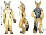  anthro canine ferdinand jackal kacey male mammal model_sheet nude plain_background pose solo 