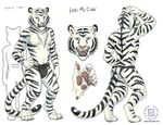  4_toes 5_fingers back big blue_eyes chest_tuft claws earl_mcclaw fangs feline front fur hand_on_head kacey male mammal markings model_sheet pawpads pink_nose plain_background pose solo standing stripes thong tiger topless tuft whiskers white white_background white_fur white_tiger 