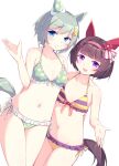  2girls absurdres animal_ears bare_shoulders bikini blue_eyes blunt_bangs blush breasts brown_hair cleavage collarbone commentary_request ear_covers flower green_bikini grey_hair grin hair_between_eyes hair_flower hair_ornament hairband hairclip highres horse_ears horse_girl horse_tail kanzakietc looking_at_viewer multiple_girls navel nishino_flower_(umamusume) open_mouth pink_hairband polka_dot polka_dot_bikini purple_bikini purple_eyes seiun_sky_(umamusume) short_hair simple_background single_ear_cover small_breasts smile stomach striped_bikini striped_clothes sunflower sunflower_hair_ornament swimsuit tail teeth umamusume white_background x_hair_ornament yellow_bikini 