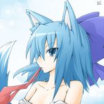  animal_ears bad_id bad_pixiv_id blue_hair bow cirno kemonomimi_mode parody reku ribbon short_hair solo spice_and_wolf tail touhou wolf_ears wolf_tail 