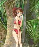  bikini blush brown_hair can es_(cah60700) flat_chest long_hair original ribbon solo swimsuit tree 